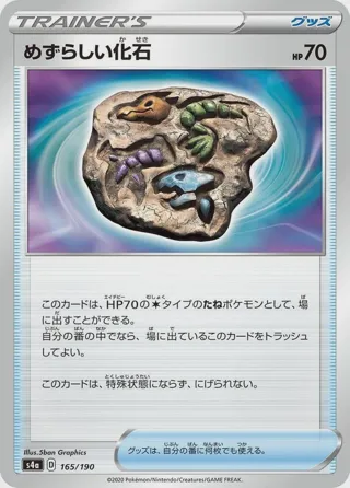 Rare Fossil