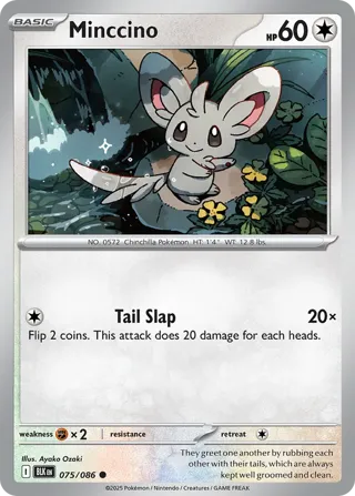 Minccino (Poke Ball Pattern)