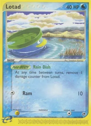 Lotad - 66/100