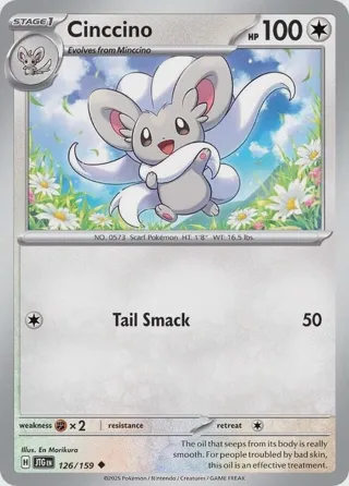 Cinccino