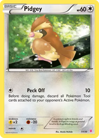 Pidgey (#11)