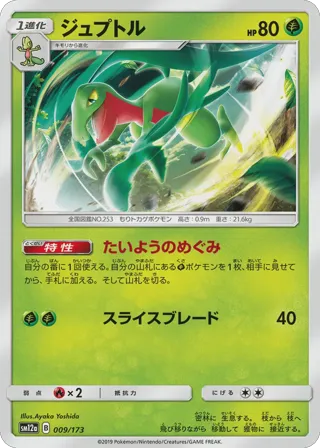 Grovyle (Mirror Holofoil)