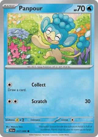 Panpour (Master Ball Pattern)
