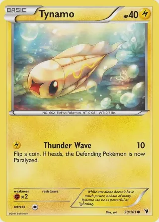 Tynamo (38)