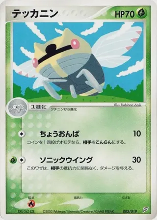 Ninjask