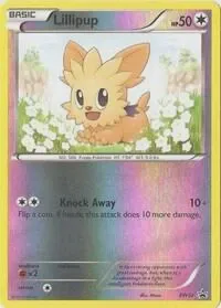Lillipup - BW52