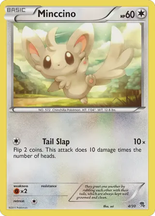 Minccino (#4)