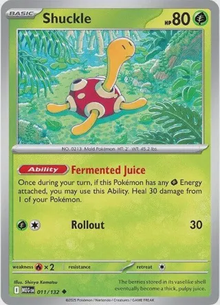 Shuckle - 011/132