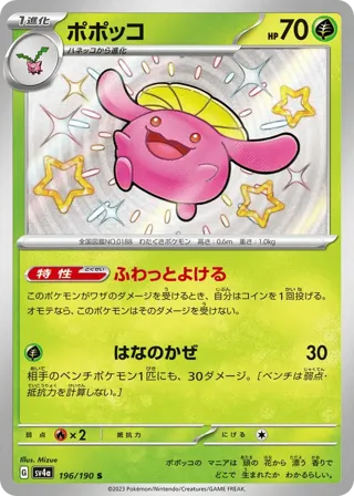 Skiploom - 196/190