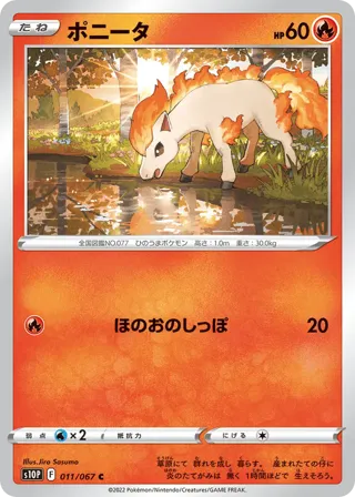 Ponyta