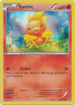 Torchic - 25/160 (Sheen Holo)