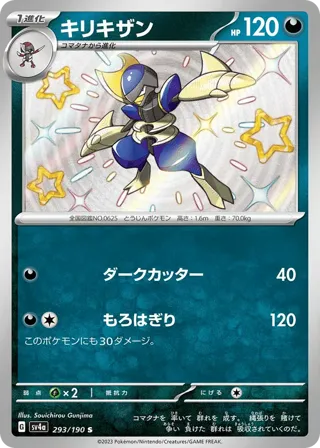 Bisharp - 293/190