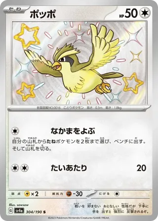Pidgey - 304/190