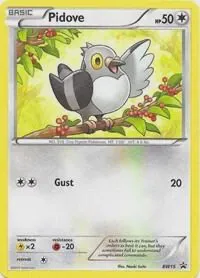 Pidove - BW15