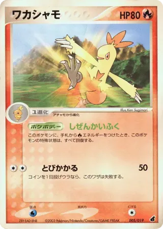 Combusken - 005/019
