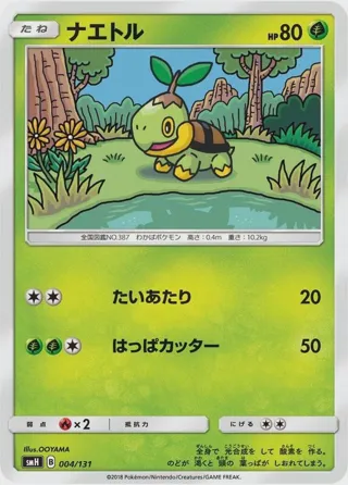 Turtwig