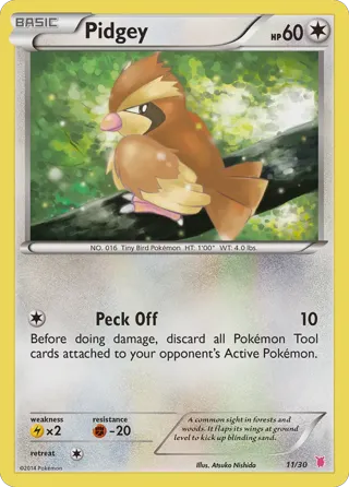 Pidgey (#11)