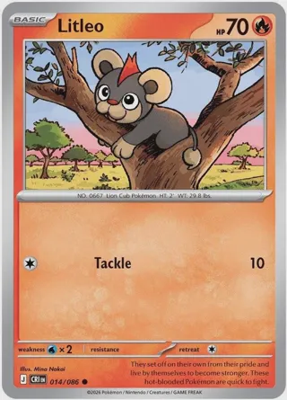 Litleo