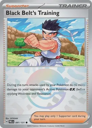 Black Belt's Training - 097/131 (Poke Ball Pattern)