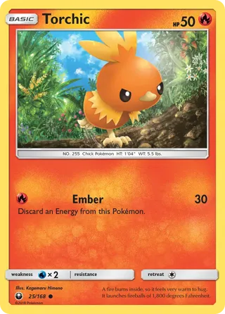 Torchic (25)