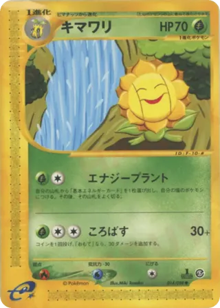 Sunflora