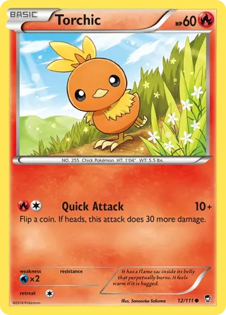 Torchic - 12/111 (City Championships)