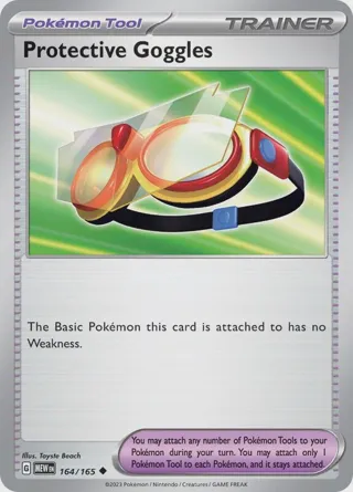 Protective Goggles