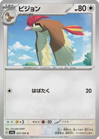 Pidgeotto (Master Ball Pattern)