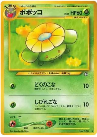 Skiploom