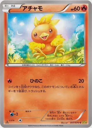 Torchic - 017/070
