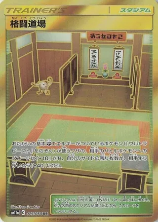 Martial Arts Dojo