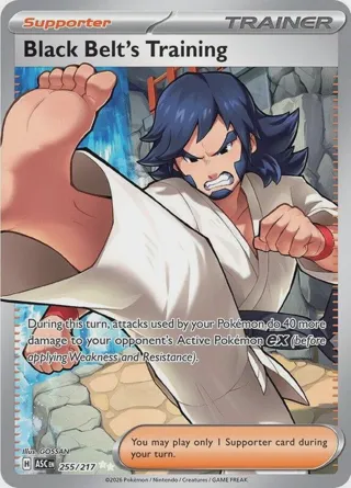 Black Belt's Training
