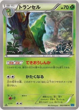 Metapod