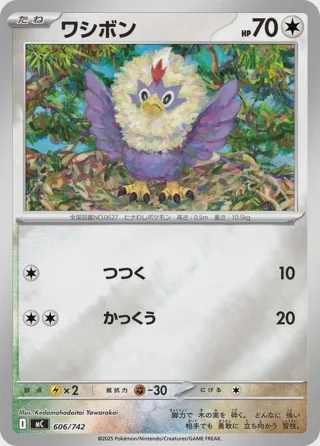 Rufflet (Mirror Holo)