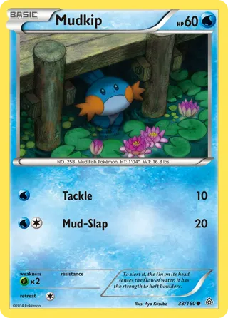 Mudkip - 33/160 (Sheen Holo)