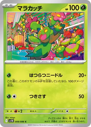 Maractus