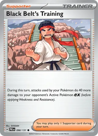 Black Belt's Training - 098/131 (Poke Ball Pattern)