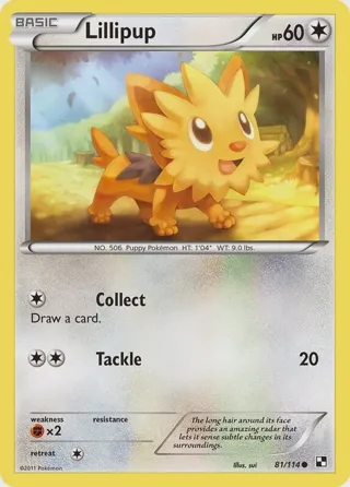 Lillipup (81)