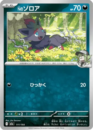N's Zorua (Energy Symbol Pattern)
