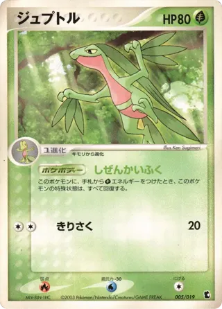 Grovyle - 005/019