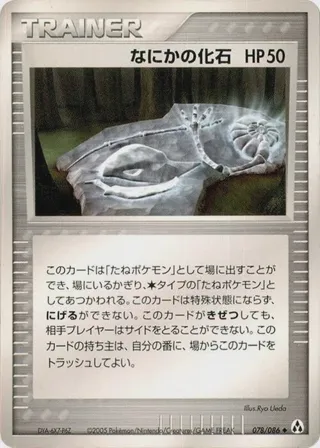 Mysterious Fossil