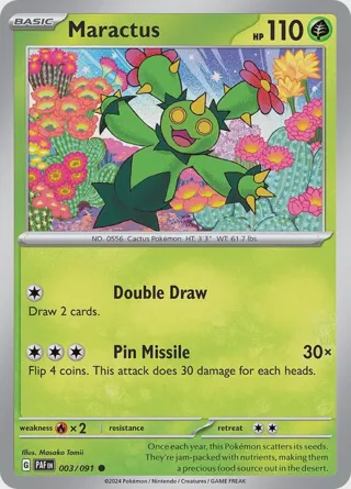 Maractus