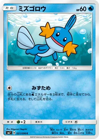 Mudkip - 021/096
