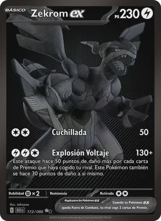 Zekrom ex