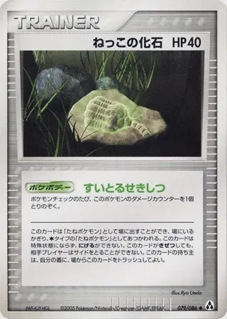 Root Fossil