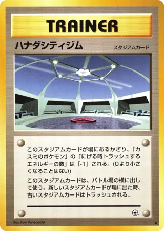 Cerulean City Gym