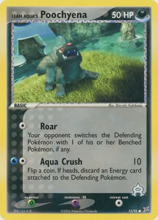 Team Aqua's Poochyena - 55/95