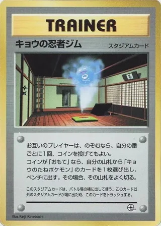 Koga's Ninja Gym