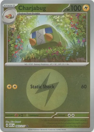 Charjabug (Energy Symbol Pattern)