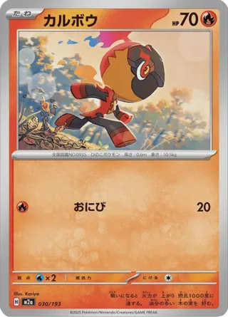 Charcadet (Friend Ball Pattern)